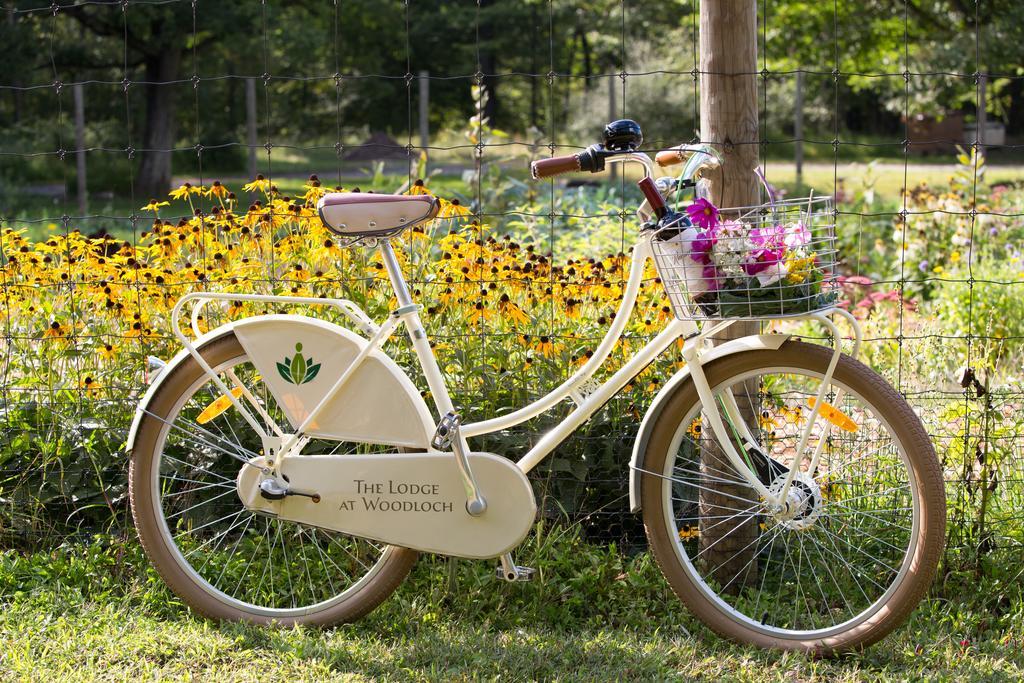 The Lodge At Woodloch Hawley Esterno foto